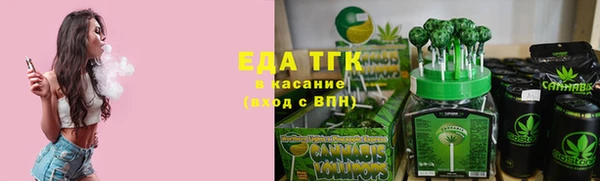 хмурый Касимов