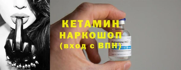трава Карпинск