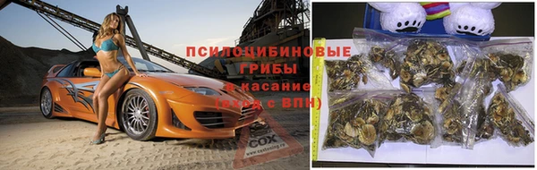СК Приозерск