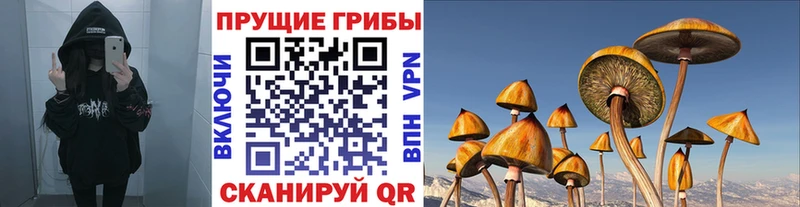 Псилоцибиновые грибы прущие грибы  даркнет официальный сайт  Краснозаводск 
